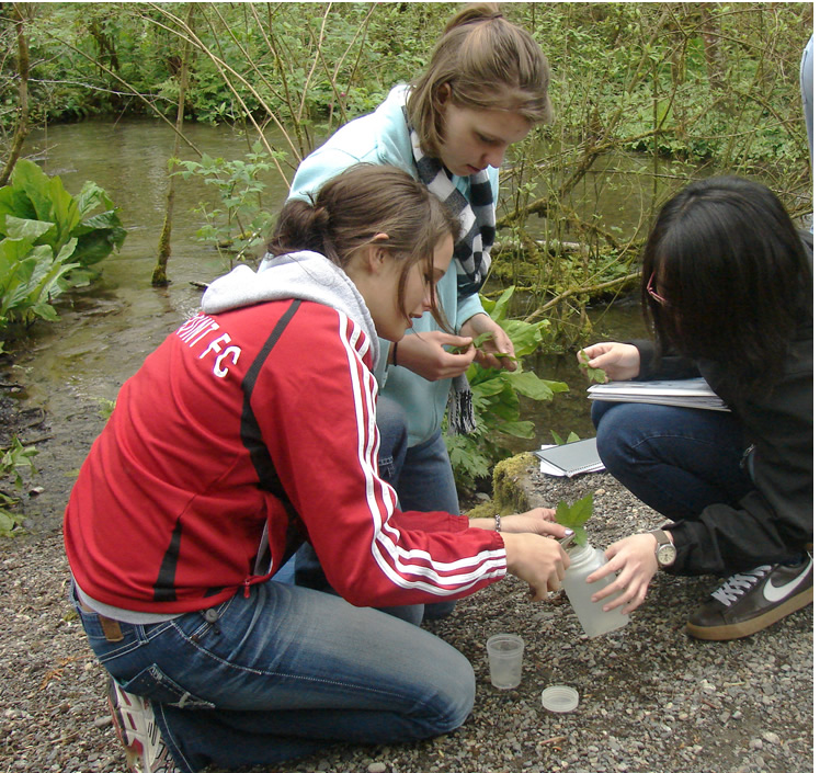Three students squatting down on a creek bank. The student on the right is across from the other two, holding a small square bottle with water in it. The student closest to the camera is using a hole punch to put bits of leaf in the bottle. The student behind her is holding some leaves in her hands.