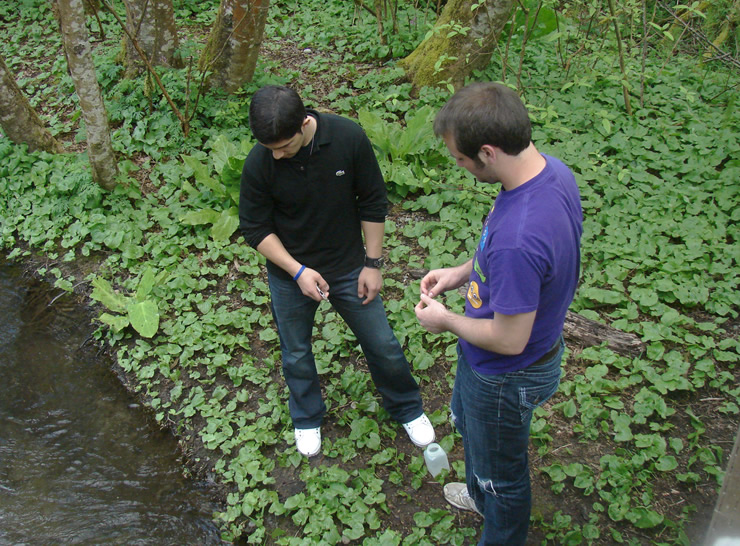 Two students stand on a creek bank facing each other with their bodies but looking at the water. On the ground between them is a small square bottle with water in it. The ground is mostly covered in small shiny green leaves and behind the student on the left is some skunk cabbage.