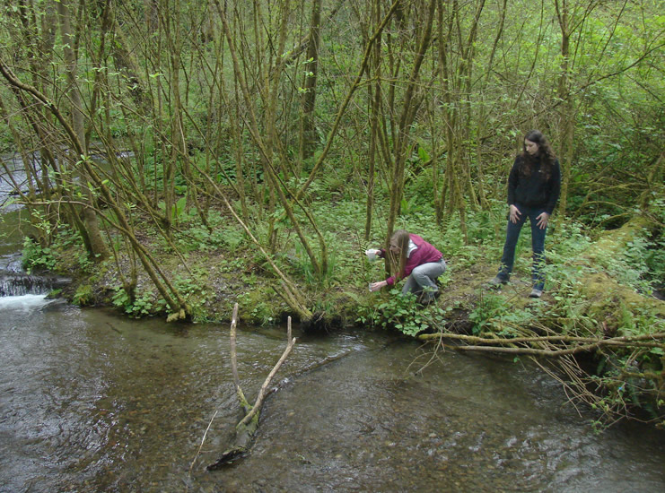 A student squats down by the edge of a creek bank. The water looks fairly shallow, but fast-moving. There is a small downed tree in the water adding complexity to the flow. The student is holding a container in one hand, reaching down to collect a water sample. In her other hand is a slightly larger container.
