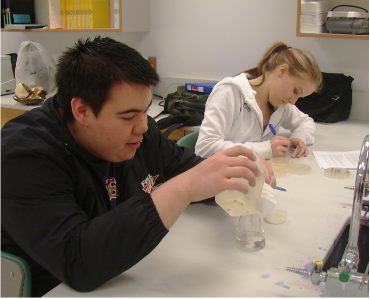 Two students at a counter with a lab sink in the bottom right corner. The student closer to the camera is pouring water with bits of leaf floating from a bottle into a clear glass flask. The student next to him is labeling petri dishes with blue sharpie.