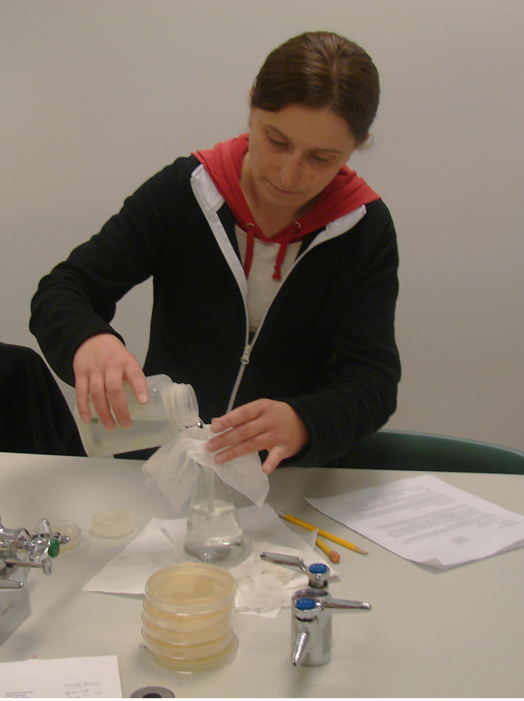 A girl at a lab counter. She is pouring a small bottle of water through a filtering paper into a clear glass flask. Papers and pencils next to her, and in front of her a stack of four petri dishes.