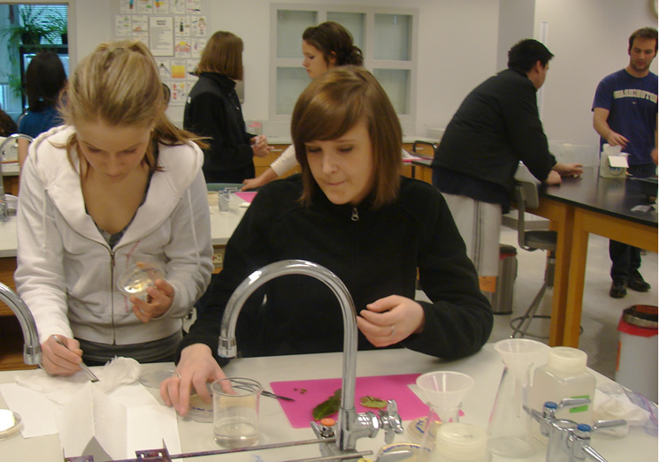 Two students at a lab counter. Bottom center of the frame is a tall arched faucet. The student on the right is gently handling a small petri dish labeled in sharpie. The student on the left has a petri dish with its lid off raised up in one hand while the other hand picks up a piece of leaf with tweezers.