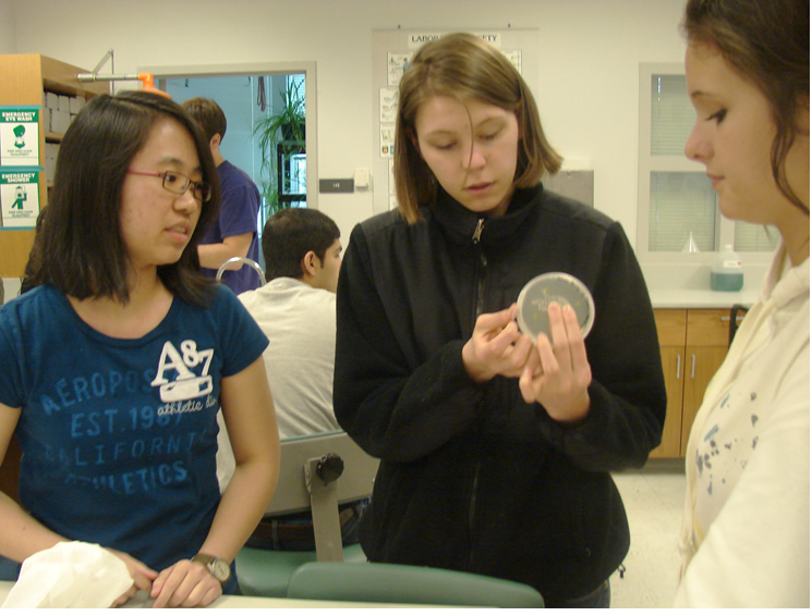 three girls stand at a table. the first looks at the girl in the middle, who seems to be smoothing out the parafilm around the edges of a petri dish. the third girl looks down at the table.