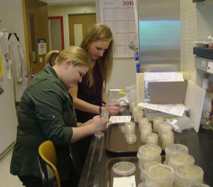 Two students alongside a table with brown trays in front of them. The trays directly in front of the students have stacks of small petri dishes. The students are labeling the dishes with sharpie. A tray closer to the camera has stacks of larger petri dishes all closed with parafilm.