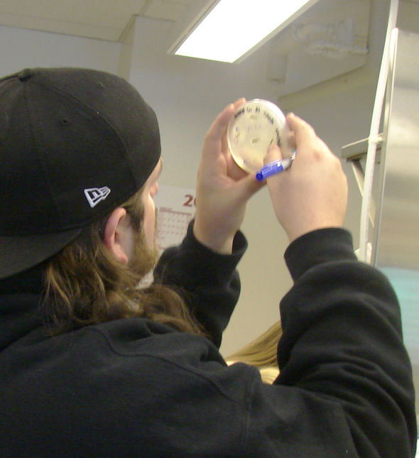 a student holding a dish up to the light, holding a blue sharpie in their right hand