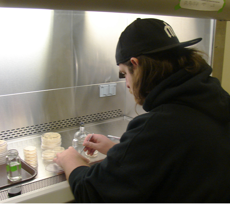 A student sits at a biosafety cabinet with the glass up above their nose. To the left is a brown tray with some labeled petri dishes and a small open glass jar labeled in green (it contains pure ethanol). In front of the student is a small glass bottle with a metal screw top and a wick coming out the top. Immediately to the student's left, a petri dish with its lid off, facing upward. In their right hand is a scalpel and their other hand is holding the dish steady.