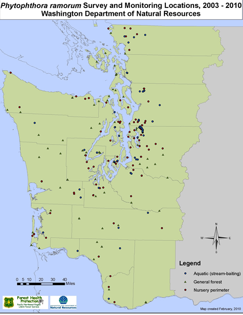 a map of western washington with the counties colored green. The title: "Phytophthora ramorum survey and monitoring locations, 2003-2010" by the Washington department of Natural resources. Scattered across the map are blue spots to show stream-baiting locations, triangles to show general forest locations, and red circles to show nursery perimeter locations.