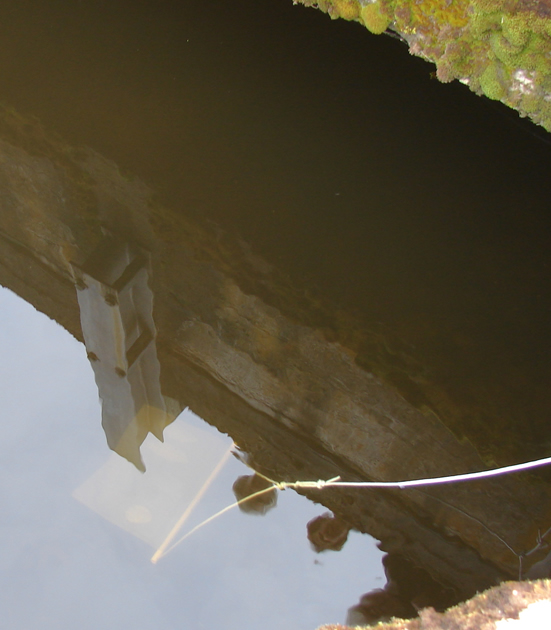 view of a bait bag in place under the water with its thin white rope leading out of the frame toward the right. 
