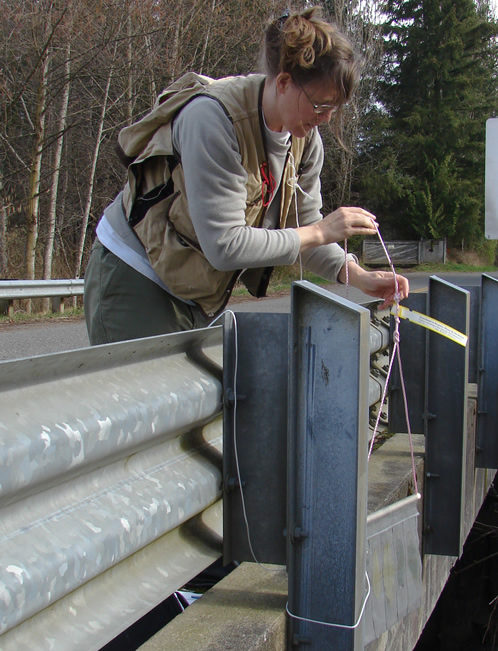 a person in a brown cruiser's vest stands on the road of a bridge, pulling a bait bag up by its rope.