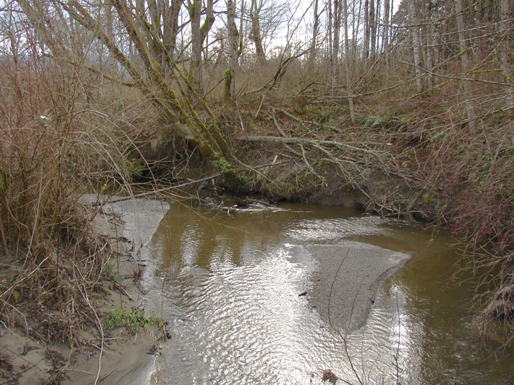 looking upstream at the curve in a stream with brown water