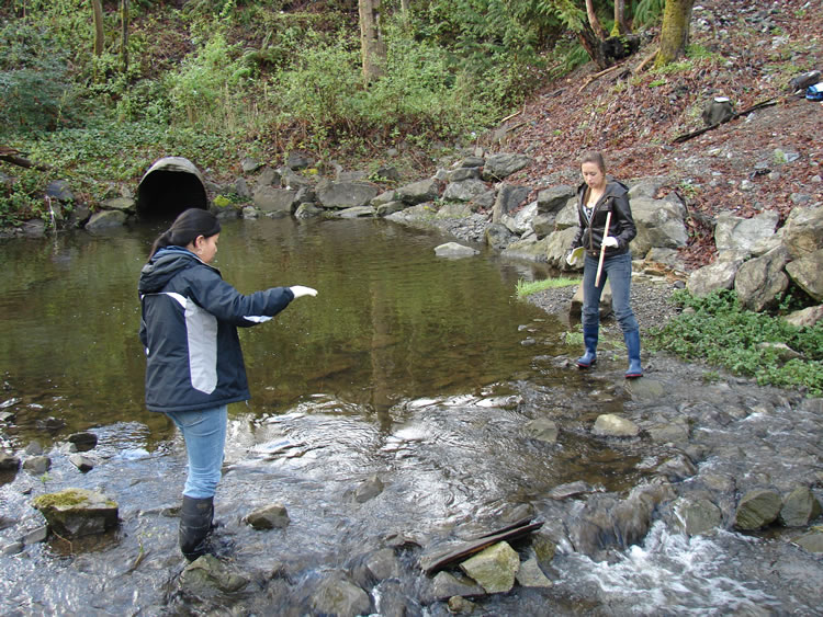 A girl in a blue and white jacket, jeans, and rubber boots stands up to her ankles in a creek. Across from her on the bank is another girl in a leather jacket, jeans, and rubber boots, holding a white stick in her left hand and a small yellow Rite-In-The-Rain notebook in her right hand. Near the top left of the frame is a large culvert.