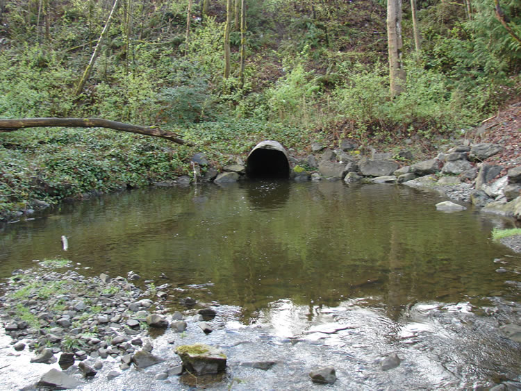A large culvert is centered, with a smooth pool of water spreading out in front of it. As the water gets to the bottom of the frame, rocks can be seen making ripples in the flow.