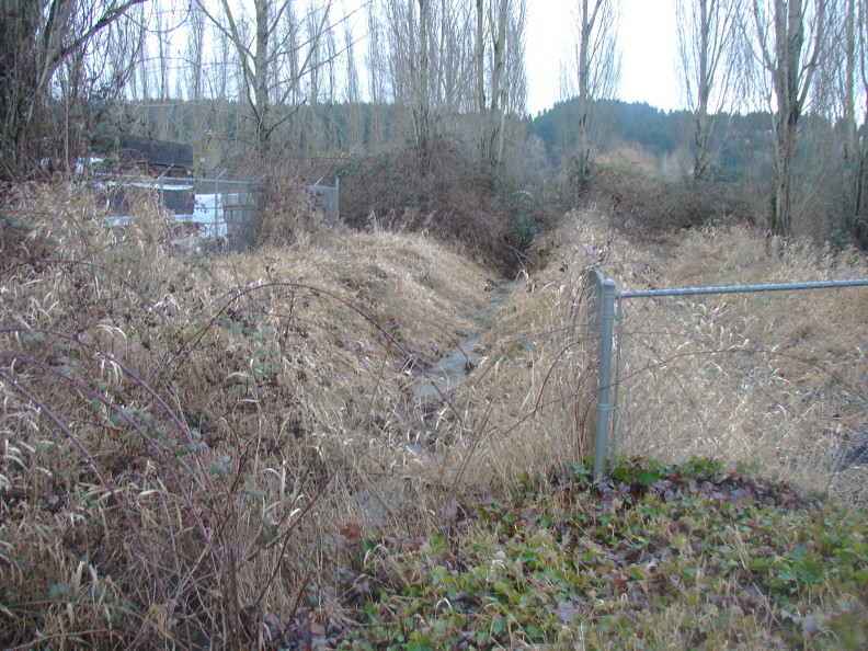 A chainlink fence on the right next to a ditch with water flowing. Either side of the ditch has brown grass.