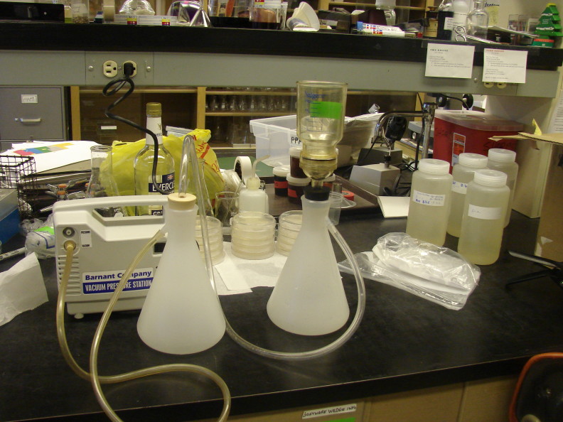 A black lab bench with equipment, petri dishes, white plastic flasks with tubes attached, and nalgenes labeled with white tags.