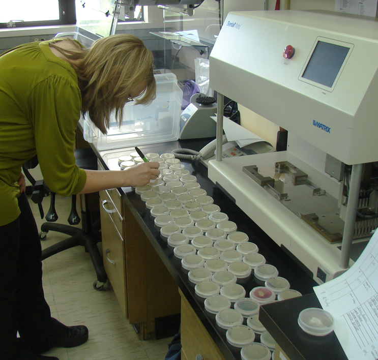 a woman in a green shirt stands bent over. the desk in front of her has four rows of small petri dishes. Behind the dishes is a machine with an unknown purpose.