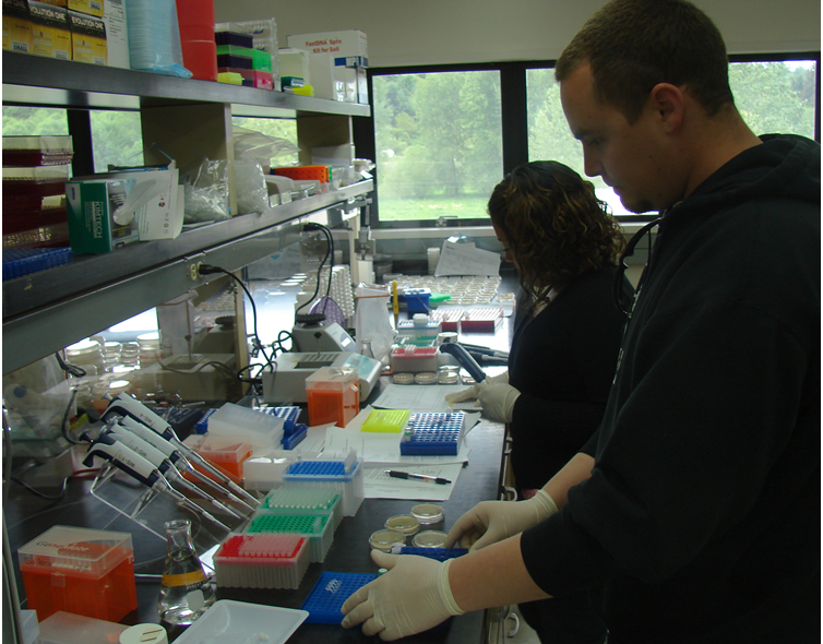 Two students standing at a lab bench. In front of them are boxes of different sized pipette tips and a rack with four pipettes hanging from it. 