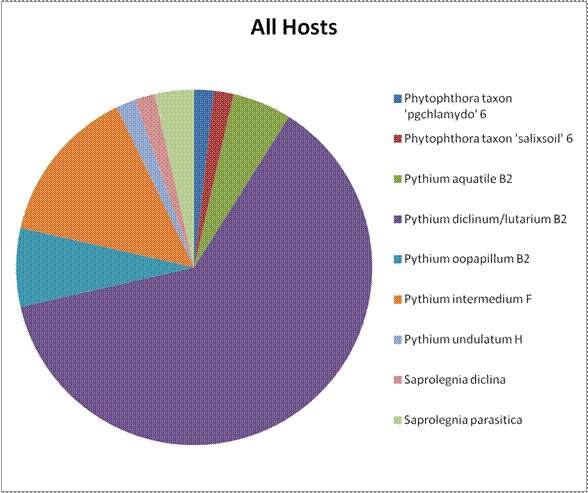 More than half of the species identified from all above hosts were from Pythium diclinum/lutarium B2. Nearly half of what was left was Pythium intermedium F. In order, the next three get smaller: Pythium oopapillum B2, Pythium aquatile B2, and Saprolegnia parasitica. The last four are smallest and show about the same amount: Pythium undulatum H, Saprolegnia diclina, Phytophthora taxon 'pgchlamydo" 6, and Phytophthora taxon "salixsoil" 6