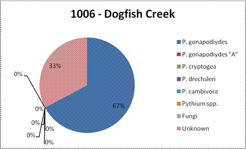 A circle graph that shows the results of sampling from Dogfish Creek. The primary species was Phytophthora gonapodiydes at 67%. The second result is 33% unknown species.
