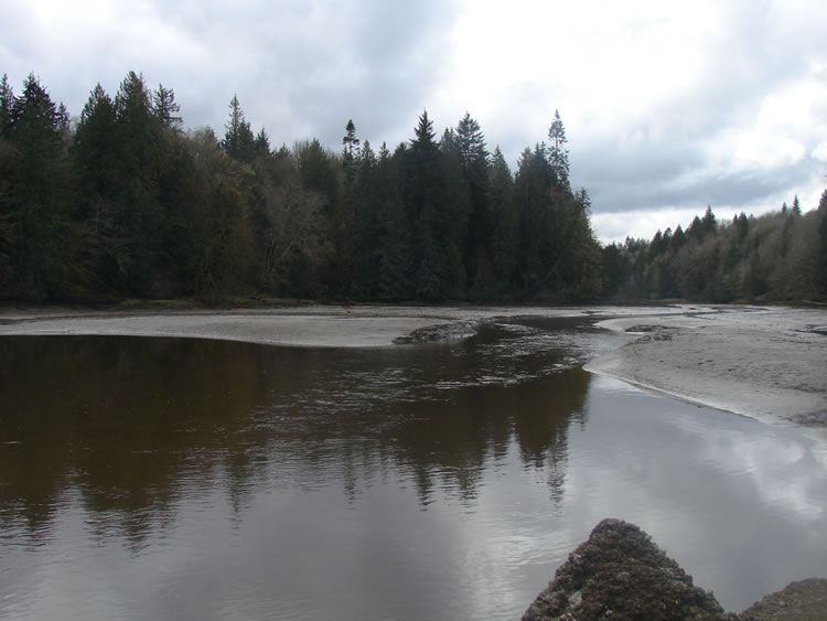looking downstream at a wide, mostly smooth river.