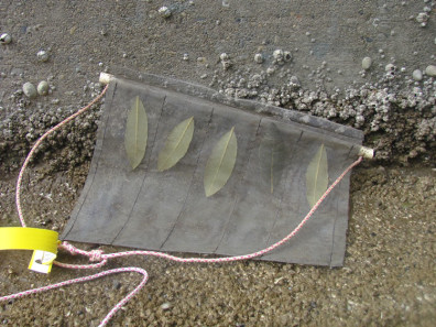 five rhododendron leaves in a mesh bait bag with a dowel at the top and a red and white string coming off the sides. the mesh bag is sewn into five separate spaces to keep the leaves from overlapping.