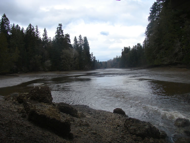 Looking downriver on a cloudy day, standing on a small, rocky island with the main flow to the right and a small channel on the left.