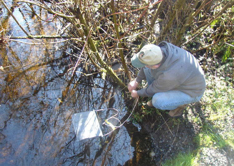 a person squatting on the bank next to a bush with a bait bag tied to it. link to full image