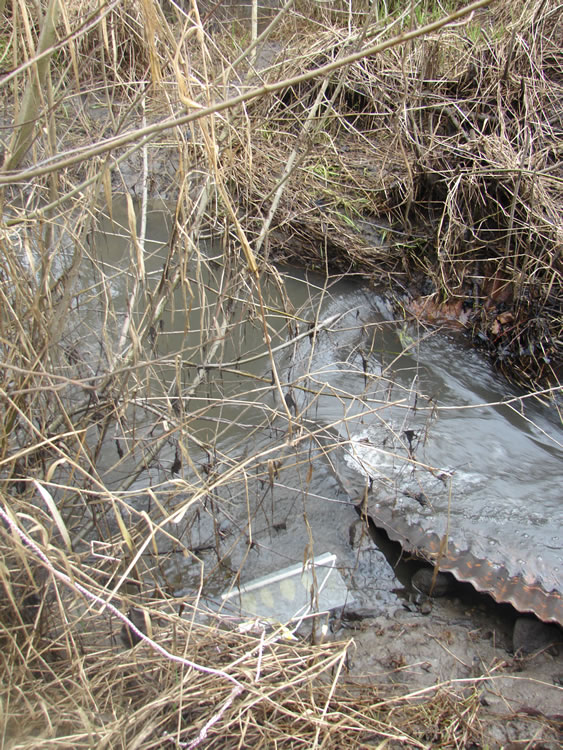 closeup of the stream channel. A corrugated roofing tile on the right appears to be redirecting the flow. A bait bag is in the water near the bottom middle of the frame.