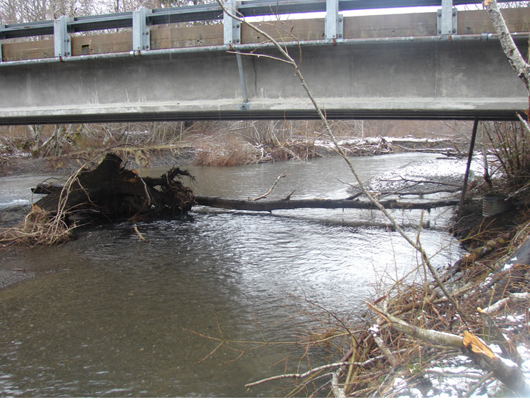 A bridge with a metal railing over a wide creek with relatively smooth water. Halfway across the creek at far left center of the frame there is a root ball with a thin log resting on the bank at the far right center, suspended slightly above the water.