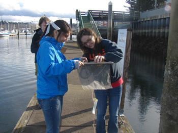two people examining a bait bag held between them. link to full image