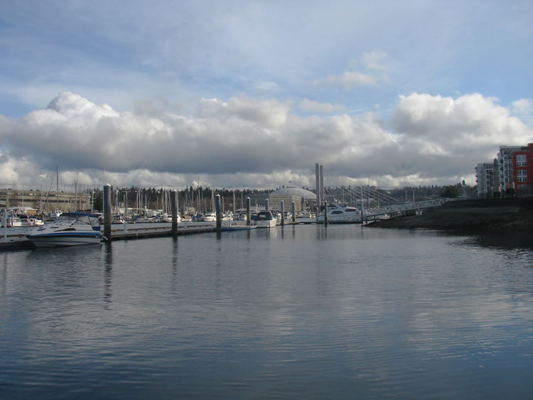 A view of the waterway facing a dock with a number of boats tied up across the water.