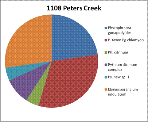 Results for site 1108 Peters Creek. The circle graph does not have percentages. Put together, Phytophthora taxon Pg chlamydo and Elongisporangium undulatum make up over half of the results. The next largest after that was Phytophthora gonapodyides, followed by Pythium diclinum complex, Pythium new sp. 1, and Phytophthora citrinum.