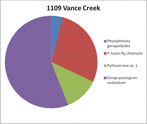 A circle graph, without numbers to indicate percentages, depicting species results for site 1109 Vance Creek. Over 50% of species identified were Elongisporangium undulatum. The second most identified species was Phytophthora taxon Pg chlamydo, followed by Pythium new sp 1, and Phytophthora gonapodyides.