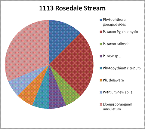 Site 1113 results. The most of Elongisporangium undulatum and P. taxon Pg chlamydo. A smaller amount of Phytophthora gonapodyides was found. Approximately equal amounts of the others were identified: P. taxon salixsoil, Phytopythium citrinum, Phytophthora delawarii, and Pythium new sp. 1