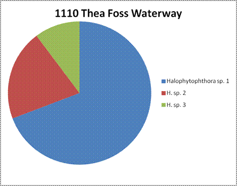 A circle graph showing the breakdown of species. no numbers are shown to represent the different amounts of each sample. Approximately 2/3 of the species were Halophytophthora. A smaller amount was Halophytophthora sp 2, and the third was Halophytophthora sp 3.