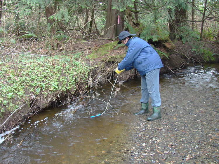 A woman in a blue jacket, jeans, and green rubber boots stands in the water, placing a clear tube with blue at its top and bottom and a rope attached into the water.