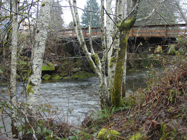 Standing on the bank of a stream looking at a bridge with wooden railings through some deciduous trees