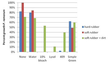 A bar chart showing the results of the experiment. They tested hard rubber soles, soft rubber soles, and dirty soft rubber holes. They were treated with either nothing, plain water, 10% bleach, Lysol, 409, and Simple Green. Overwhelmingly the least amount of Phytophthora grew with Lysol (only 10% of dirty soft rubber soles) with 409 the second lowest (>5% of hard rubber shoes and 40% of dirty soft rubber shoes). No treatment, plain water, and simple green had significantly more Phytophthora growth from each sole type. 10% bleach showed growth only on dirty soft rubber soles, but it was from over 50% of the relevant samples.