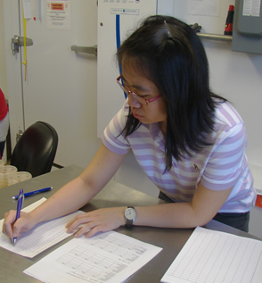 a girl in a striped shirt writing on a blank piece of paper while referring to a printed spreadsheet