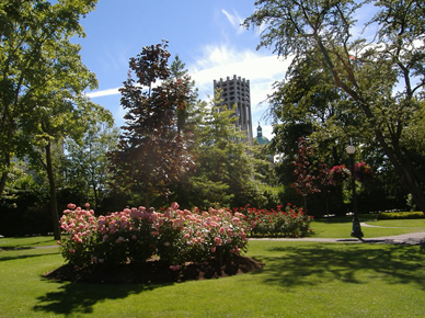 a tidy garden with scattered trees, green grass with paths through it, and flowering pink shrubs