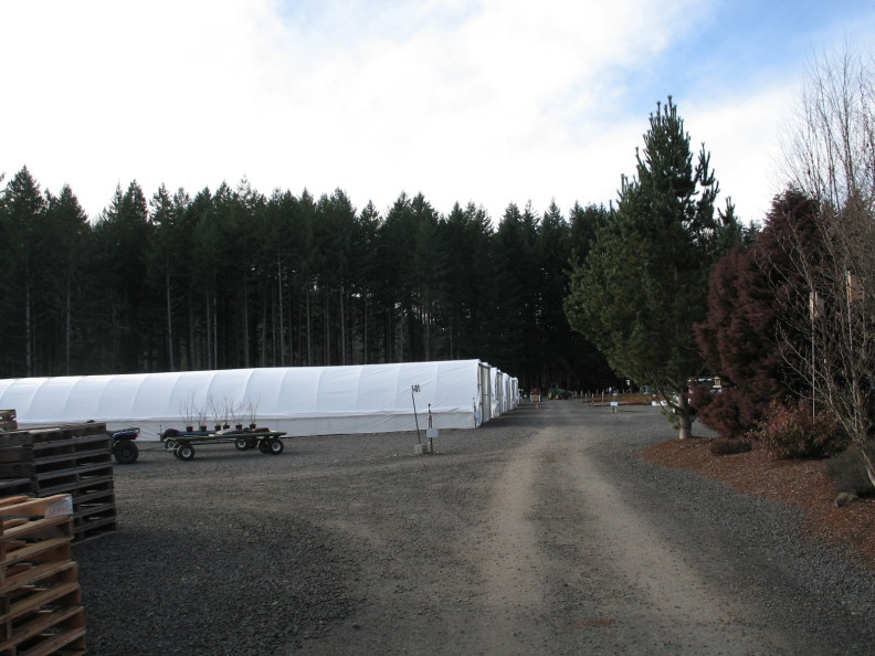 a row of long white greenhouses facing to the right. a flat trailer with six trees in pots is in front of the long side.