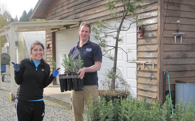 a boy holding a tray of 1-year saplings
