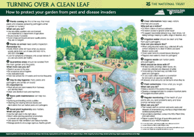 link to the full scientific poster