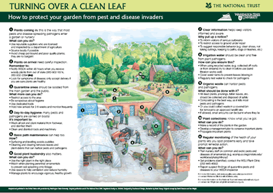 link to the scientific poster