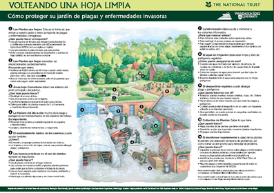 enlace al póster científico