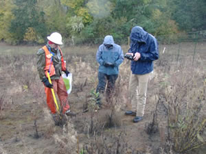 three people stand around a young tree in a field. a man in orange on the left stands back holding a yellow measuring stick. The person in the middle wears jeans and gloves and a blue jacket with their hood up. The person on the right wears a darker blue jacket with its hood up and is taking a picture of the tree using a tablet.