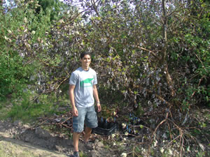 a young man wearing jean shorts and a t-shirt stands next to a madrone with one of its branches on the ground