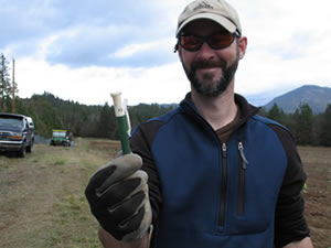 Christmas tree manager