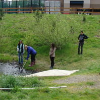 a person in a blue coat uses a tool at a water's edge while three others watch