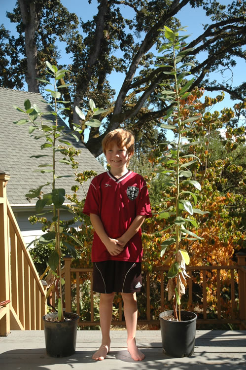 on a wooden porch, a young redheaded boy smiles between two potted madrone plants that are taller than him.