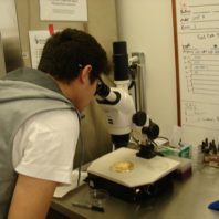 a student uses a microscope